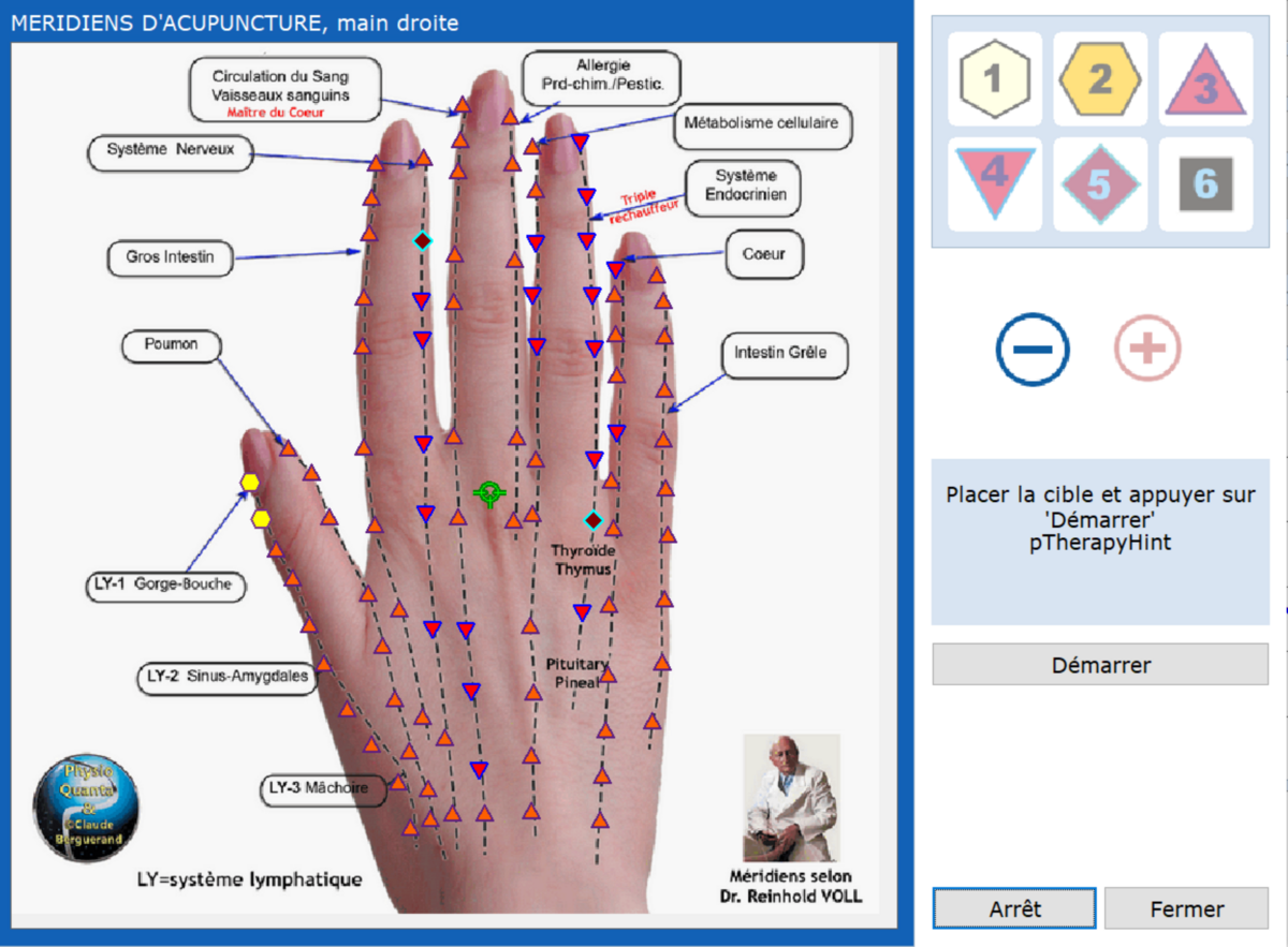 Planche du Physioscan : méridiens d'acupuncture de la main droite, avec les organes associés